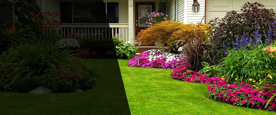 Culver City Landscapers
