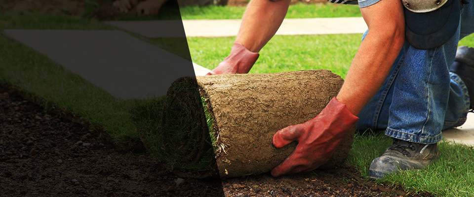 Culver City Landscapers